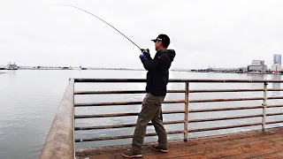 Slow Rolling Underspin (San Diego Bay Fishing)