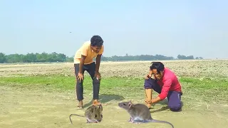 New comedy amazing funny Videos 2023 New year funny video Episode 62 By Bindas Fun Ds