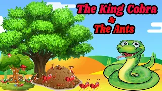 The King Cobra and Ants | Moral story for kids | Panchatantra story | Animal story