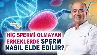 Erkeklerde Kısırlık Nedenleri, Tanısı ve Tedavisi