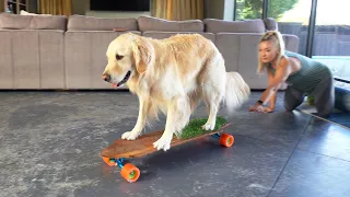 TEACHING OUR DOG TO SKATEBOARD!