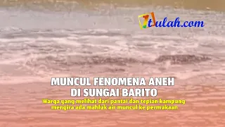 DETIK-DETIK WARGA PANIK, MAHLUK ANEH MUNCUL DARI DASAR SUNGAI