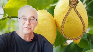 Водка "Висельник". Лимон VS Апельсин. На самогоне или спирту?