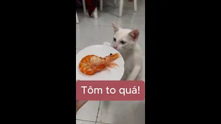 He likes shrimp