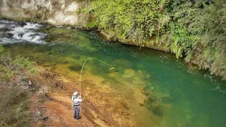 This River is so Good. Big Trout Everywhere!