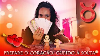 🌳TOURO ♉ | Essa pessoa é um grande PRESENTE que vem de DEUS para mudar sua VIDA!👫❤️‍🔥👼 Prepare-se! 🙌