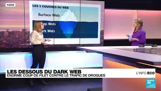 Dark web : énorme coup de filet contre le trafic de drogues • FRANCE 24