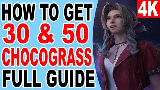 FF7 Rebirth How to Get 30 and 50 Chocograss Location - Chocograss Collector 50 Chocobo Grass