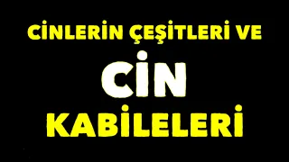 CİNLERİN ÇEŞİTLERİ VE CİN KABİLELERİ