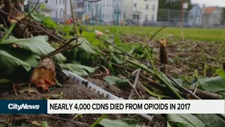 New opioid figures show overdose deaths on the rise