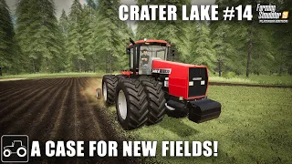 Buying A New Tractor, Chopping Firewood & New Field - Crater Lake #14 Farming Simulator 19 Timelapse