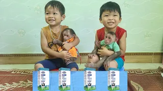 Mimi Kuku and brother wait for mom to share milk