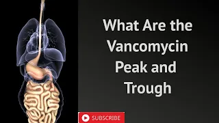 What Are the Vancomycin Peak and Trough