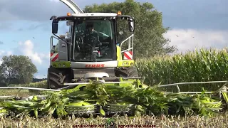 Claas - Fendt - JCB / Maissilage - Silaging Maize   TB