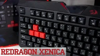 Redragon Xenica - Самая бюджетная Игровая Клавиатура