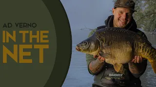 Carpfishing in Germany - Into the Net | Ad Verno