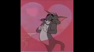 Tom & Jerry |Love Tom for Cat| Rumantice Seen Tom!