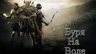 БУРЯ НА ВОЛЕ | THE ELDER SCROLLS ONLINE