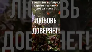 Библия о свободе выбора