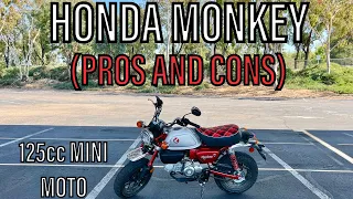 HONDA MONKEY: PROS AND CONS