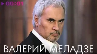 ВАЛЕРИЙ МЕЛАДЗЕ - TOP 20 - Лучшие песни