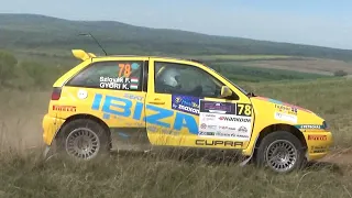 V. V-Híd Rally Hungary 2024 Szlovák Ferenc -  Győri Kristóf