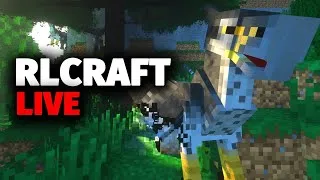 RLCraft but I desperately need help...