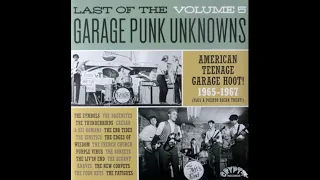 Various - Last Of The Garage Punk Unknowns VOL5 Full Album Vinyl