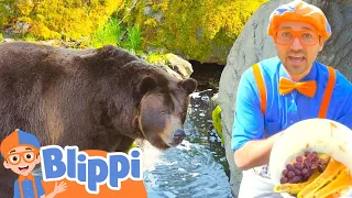 Feeding the Animals | Blippi at the Zoo | Kids show | Fun Learning