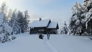 ЧТО Я УВИДЕЛ В БРОШЕННОМ ДОМЕ В ЛЕСУ. НАТКНУЛСЯ НА МОГИЛУ В ТАЙГЕ. ЧТО НА ЧЕРДАКЕ В ДОМЕ. ОХОТА