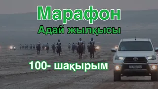 Адай жылқысы. 100 шақырымдық Бәйге