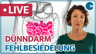 SIBO - frühzeitig erkennen und richtig behandeln | medical INSIGHTS