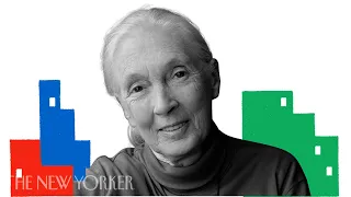 Jane Goodall on the Life Lessons She Learned from Chimps | The New Yorker Festival