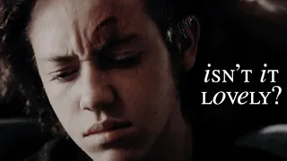 Carl Gallagher | “isn’t it lovely?”