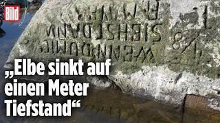 Historisches Niedrigwasser der Elbe legt „Hungerfelsen“ frei: „Anzeichen für Klimawandel“ | Děčín