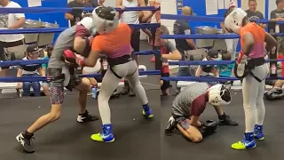 11 Y/O Boxer scores a Devastating MIKE TYSON BODY—SHOT KnockOut: King Jr unreal POWER for his age