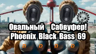 Овальный Сабвуфер! Phoenix Black Bass 69! Новинка от DL Audio!