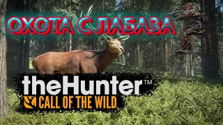 The Hunter Call of the Wild ~ ЛАБАЗ🪜 ЛУК🏹 ОЛЕНЬ РУЗВЕЛЬТА🦌 И ПРОСТО ПОГОВОРИМ📣