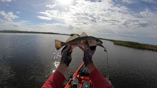 Crystal River Kayak Fishing The Nature Coast - Ozello Salt River, Florida Back Country