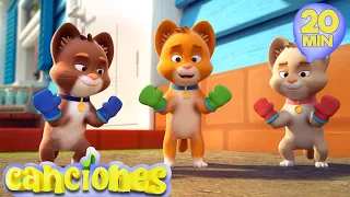 🐱Tres Gatitos - ¡Las mejores canciones de baile para niños! | LooLoo