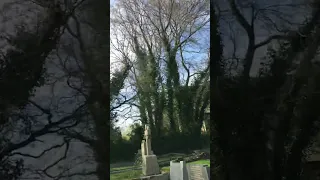 The grave of comedy legend sir Norman wisdom.