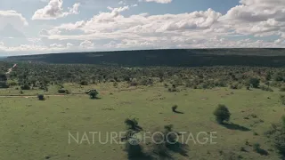 4 wheel drive on safari vacation adventure in Laikipia, Kenya. Aerial drone view