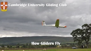 How Gliders Fly