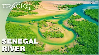 The Guards of The River Senegal | Today In Africa | TRACKS