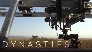 How to Film Lions | Dynasties: Behind The Scenes | Earth Unplugged