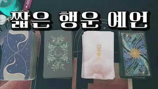 [타로] 🥠 행운 하나 예언해 봅니다