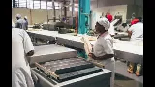 Tuna Processing – Fiji – Bumble Bee Seafoods