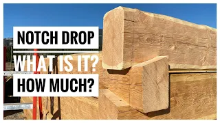 Notch Drop in Dovetail Log Construction; What is it? How much? #logtalkwithdave #logcabin #dovetail