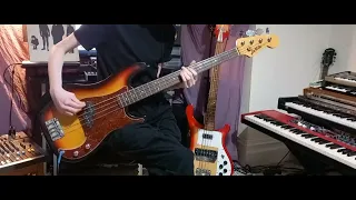 The Stranglers - Curfew (Bass Cover)