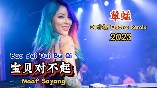 草蜢 - 宝贝对不起 - Bao Bei Dui Bu Qi - (OT小馒 Electro Remix 2023) Maaf Sayang #dj抖音版2023